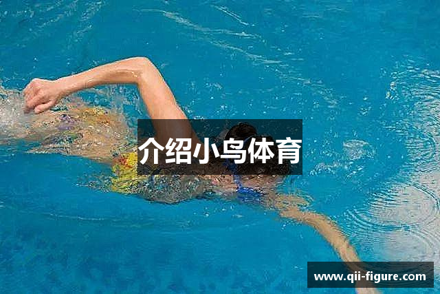 介绍小鸟体育